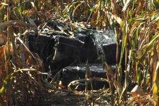 Pole kukurydzy, a na nim 14 tys. paczek papierosów