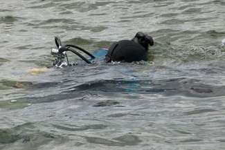 Zwłoki młodej kobiety wyłowione z zalewu. Ciało zauważyli wędkarze