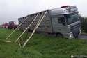 Ciężarówka przewożąca 176 świń przechyliła się nad rowem