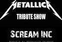 Metallica Tribute Show