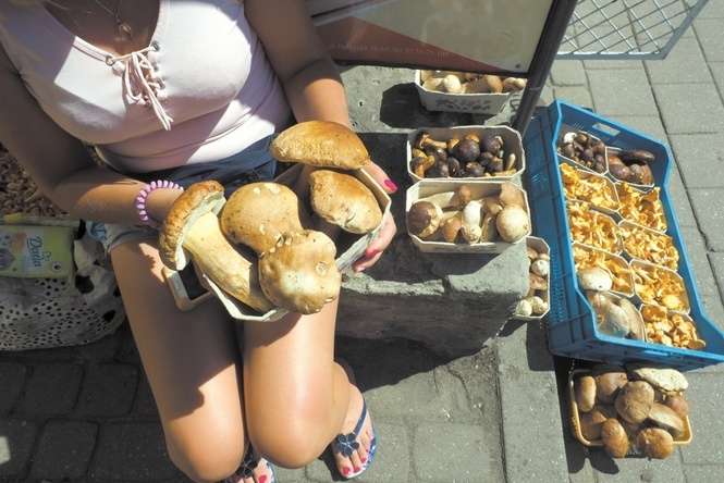 We wtorek rano na targu przy ul. Ruskiej w Lublinie grzybów nie brakowało