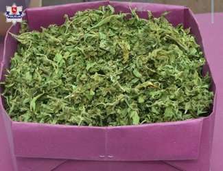 Wizyta policjantów na posesji. Szukali i znaleźli