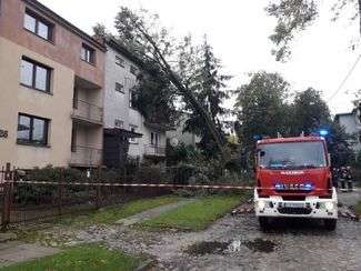 Orkan Ksawery w Lubelskiem: 45 tys. ludzi bez prądu, 270 interwencji strażaków. Trwa naprawianie szkód [zdjęcia]