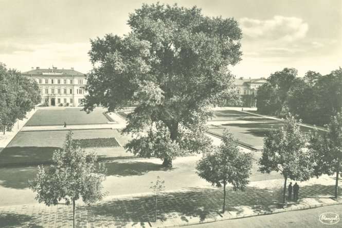 Baobab w 1941 roku
