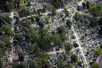 Cmentarz przy ul. Peowiaków w Zamościu