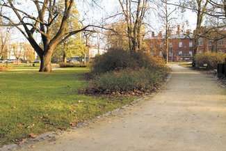 Ścieżki o naturalnej nawierzchni mają swój urok i stanowią część miejskiej zieleni. Część mieszkańców wolałaby jednak, żeby je wybrukować