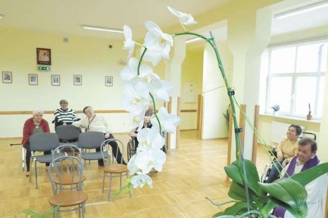 Łodyga o wysokości 1,3 metra, a na niej 15 kwiatów i cztery pąki – takim okazem storczyka szczycą się w Domu Pomocy Społecznej dla Osób Niepełnosprawnych Fizycznie przy ul. Kosmonautów 