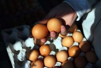 Hity i kity tygodnia. Jajecznica symbolem luksusu