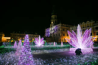 Zamość ma najpiękniejszą iluminację w woj. lubelskim