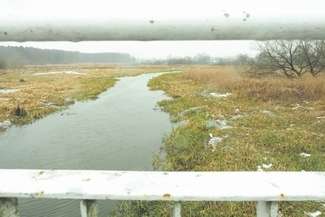 W zbiorniku miałaby się znaleźć odpowiednia roślinność oraz specjalnie dobrane gatunki ryb