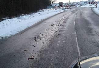 Transport, wbrew podejrzeniom niektórych mieszkańców Sielc, nie miał nic wspólnego z firmą Pini Beef