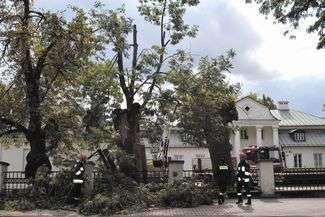 Jesion od dawna stwarzał zagrożenie. Niezbędna okazała się interwencja straży pożarnej. Drzewo musiało być podcinane