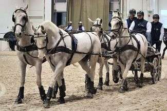 CAVALIADA 2018 w Lublinie. Zawody w Powożeniu Zaprzęgami Czterokonnymi