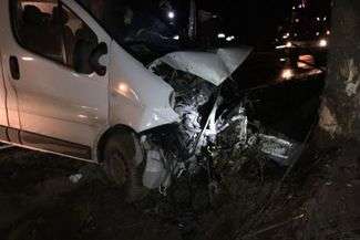 Chciał ominąć sarnę. Uderzył w drzewo