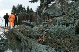 Najpóźniej do środy z terenu inwestycji usunięte mają być wszystkie drzewa