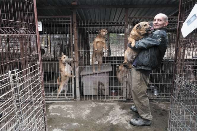 Schronisko w Krzesimowie jest wygaszane. Obecnie w przytulisku jest 150 psów