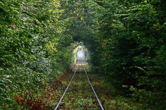 Mariusz Jachimczuk, Chełm - Zielony tor do Włodawy. Zdjęcie wyróżnione w konkursie w 2016 roku
