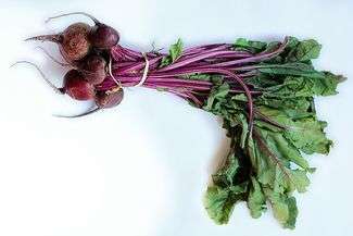 Jak założyć gospodarstwo ekologiczne? Porady specjalisty