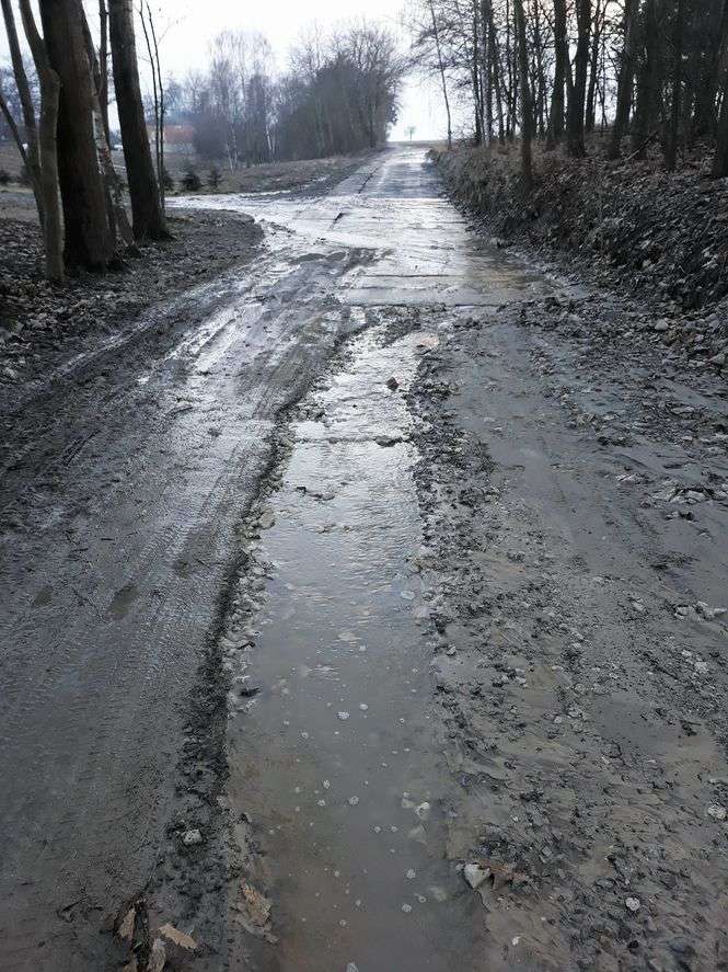 Tak wyglądała droga w miejscowości Młodziejów w miniony piątek