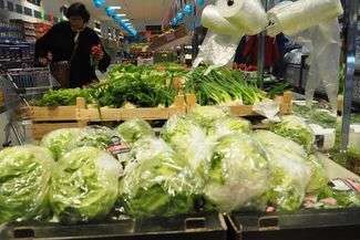 Planujesz większe zakupy? Tylko dziś. Jutro znowu niedziela z zakazem handlu