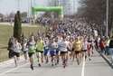 Czwarta Dycha do Maratonu w Lublinie [zdjęcia]