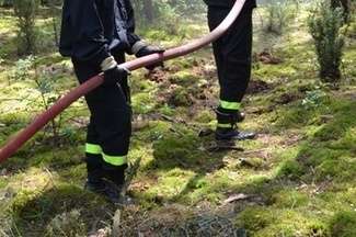 Komendant i leśniczy złapali podpalacza lasu