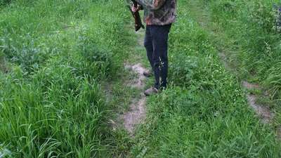 Dziadek odstraszał ptaki. Postrzelił wnuczkę