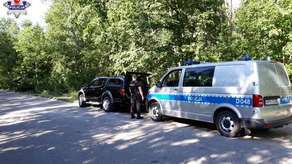 Sarna biegała po centrum miasta. Nie wiedziała, co się dzieje