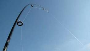 Łowili karpie w parku miejskim. Zauważyli ich strażnicy