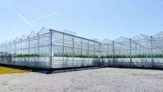 To jedno z najnowocześniejszych gospodarstw w Lubelskiem. Owady pilnują tu porządku