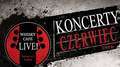 Koncert Piotra Selima w Whisky Cafe