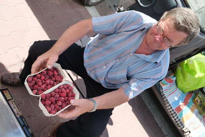 Zygmunt Wójcik swoje owoce z plantacji w Ożarowie sprzedaje w Lublinie. Półkilogramowe opakowanie malin sprzedaje pod 4.5 zł