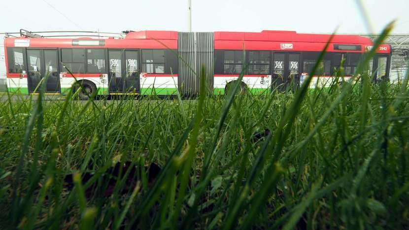 Miasto zapowiada też zamówienie kolejnych trolejbusów. Tym razem mowa jest o dziesięciu przegubowcach