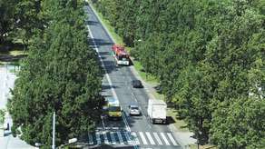 Przy przebudowywanych ulicach wyciętych zostanie prawie 200 drzew, z czego najwięcej – prawie 90 – wzdłuż Al. Racławickich