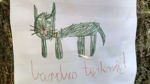 "Zaginął kot. Bardzo tęsknię!". Ogłoszenie dziecka chwyta za serce