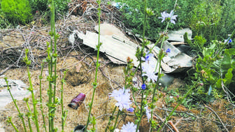 Radny wywiózł śmieci z cmentarza pod las. "Zrobiłem to w dobrej wierze" [zdjęcia]