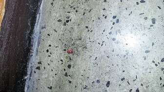 Matki wysłały nam zdjęcie. Jak twierdzą, jest na nim kawałek palca. Potwierdza to mama 11-latki, która miała stracić opuszek po przytrzaśnięciu drzwiami