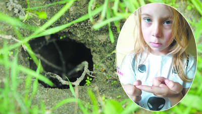 Lubelskie: Na trawnikach gigantyczne nory. Szczury terroryzują osiedle, atakują dzieci