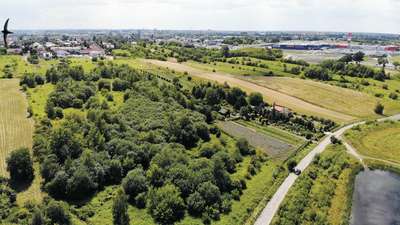 16 bloków miałyby powstać przy mało znanej ul. Dębowej, ostatniej przecznicy al. Spółdzielczości Pracy, tuż obok giełdy w Elizówce