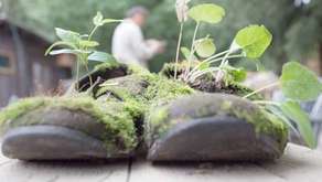 Na plakacie i folderach tegorocznej edycji festiwalu obrośnięte mchem stare buty