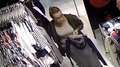 Szukają tej blondynki w okularach. Zdjęcia z monitoringu