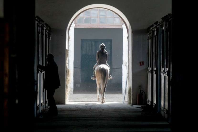 Na tegorocznych aukcjach Pride of Poland (w niedzielę) i Summer Sale (w poniedziałek) wystawione zostaną 32 konie