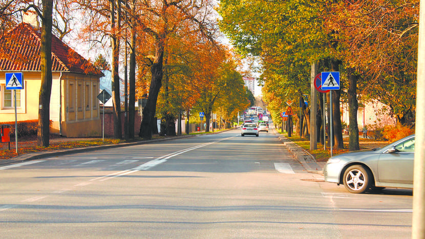 Ulica Czartoryskich w Puławach to jedna z kilku dróg, które na skutek decyzji władz wojewódzkich, a następnie powiatowych, trafiły pod zarząd i finansowanie miasta