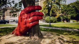 Dłoń trzymająca drzewo. Nietypowa instalacja w Lublinie