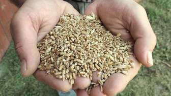 Radny prosi o medale dla rolników z Lublina