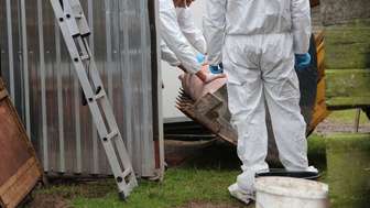 Utylizacja zdrowych świń we wsi Rudniki