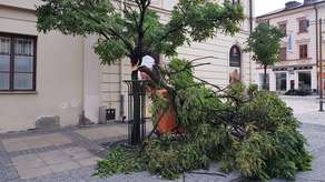 Wichury w woj. lubelskim. Ponad 500 interwencji, 13 tys. osób bez prądu [zdjęcia]