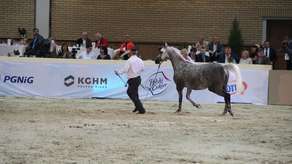 Kontrola KOWR w stadninie koni w Michałowie