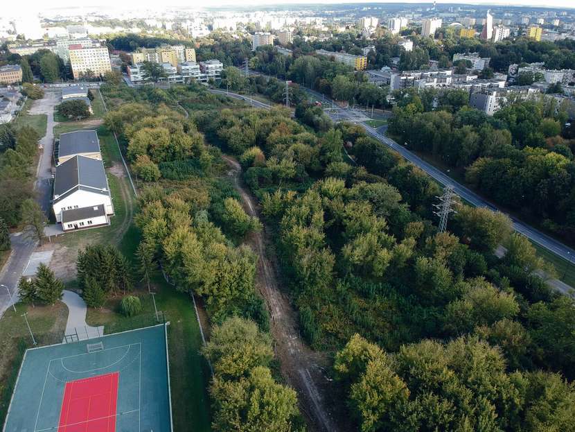 Prace przy wycince drzew na terenie między ulicami Pagi i Głęboką oraz al. Kraśnicką potrwają do października