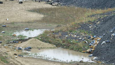 Mieszkańcy boją się nielegalnych śmieci. Skąd się tutaj wzięły? [zdjęcia]